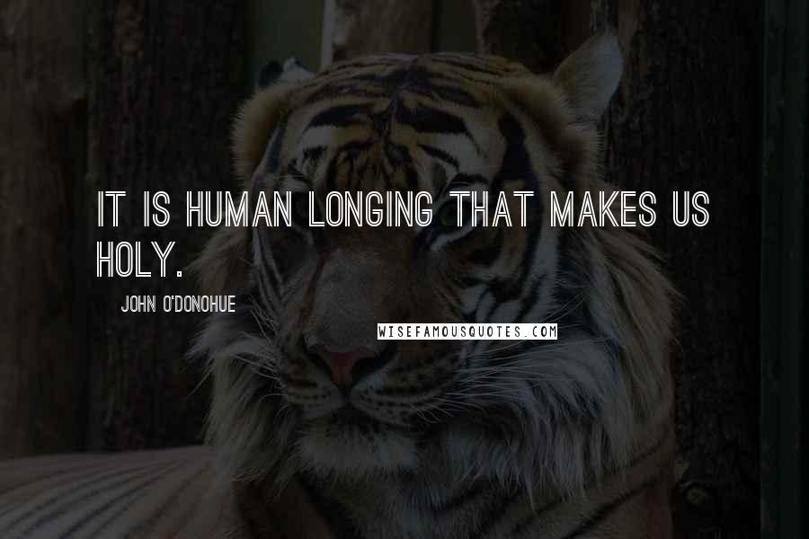 John O'Donohue Quotes: It is human longing that makes us holy.