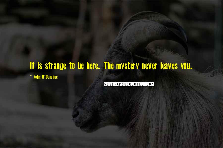 John O'Donohue Quotes: It is strange to be here. The mystery never leaves you.