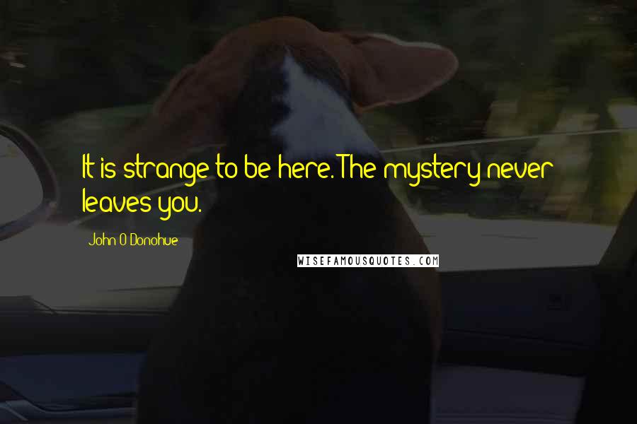 John O'Donohue Quotes: It is strange to be here. The mystery never leaves you.