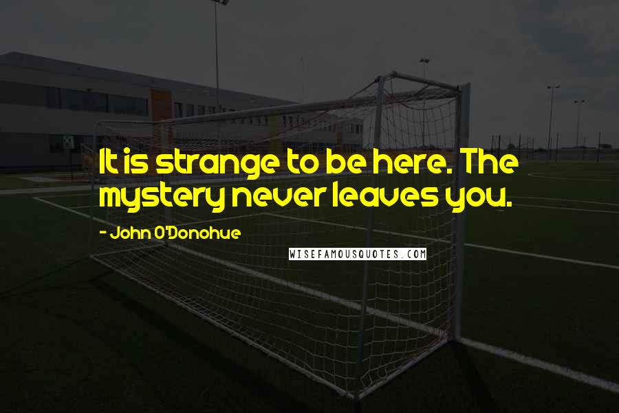 John O'Donohue Quotes: It is strange to be here. The mystery never leaves you.