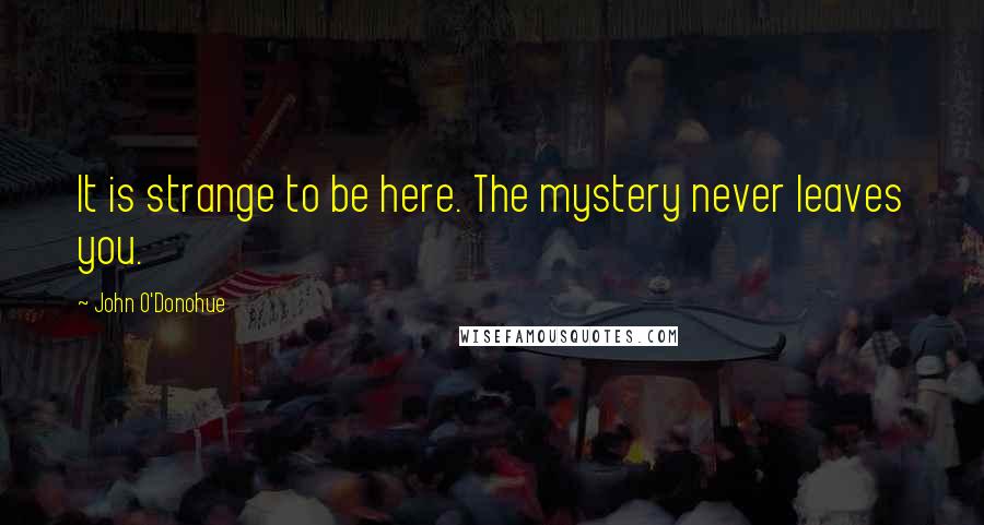 John O'Donohue Quotes: It is strange to be here. The mystery never leaves you.