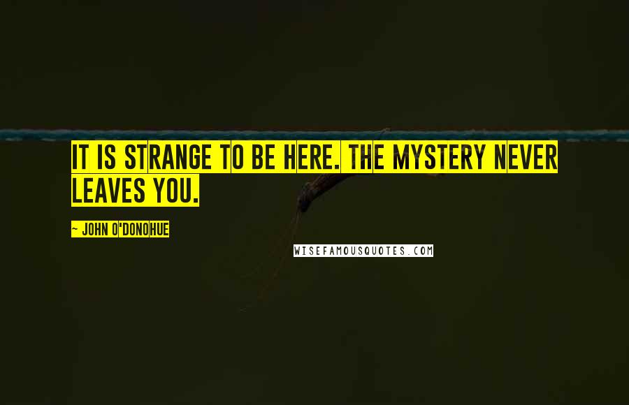 John O'Donohue Quotes: It is strange to be here. The mystery never leaves you.