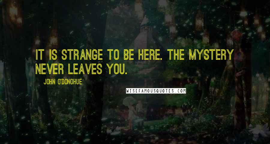 John O'Donohue Quotes: It is strange to be here. The mystery never leaves you.