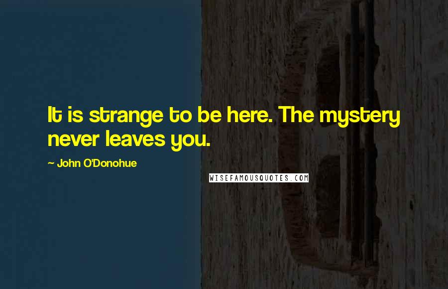 John O'Donohue Quotes: It is strange to be here. The mystery never leaves you.