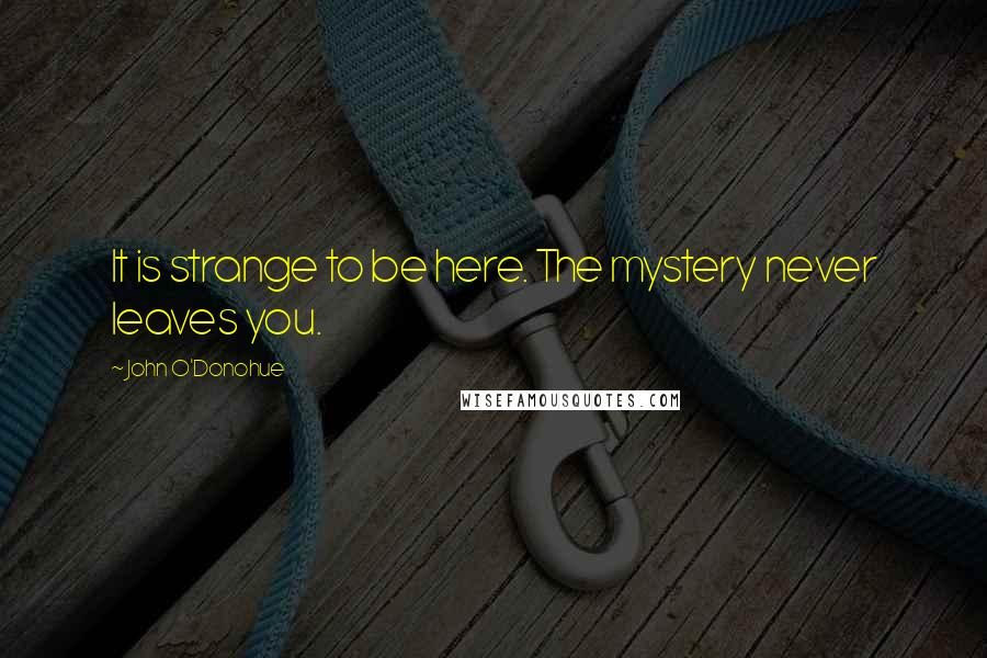 John O'Donohue Quotes: It is strange to be here. The mystery never leaves you.