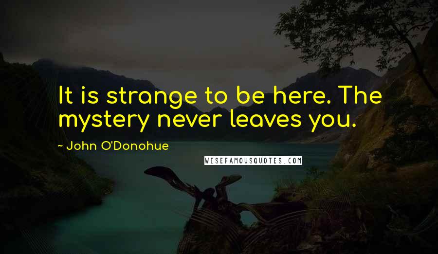 John O'Donohue Quotes: It is strange to be here. The mystery never leaves you.