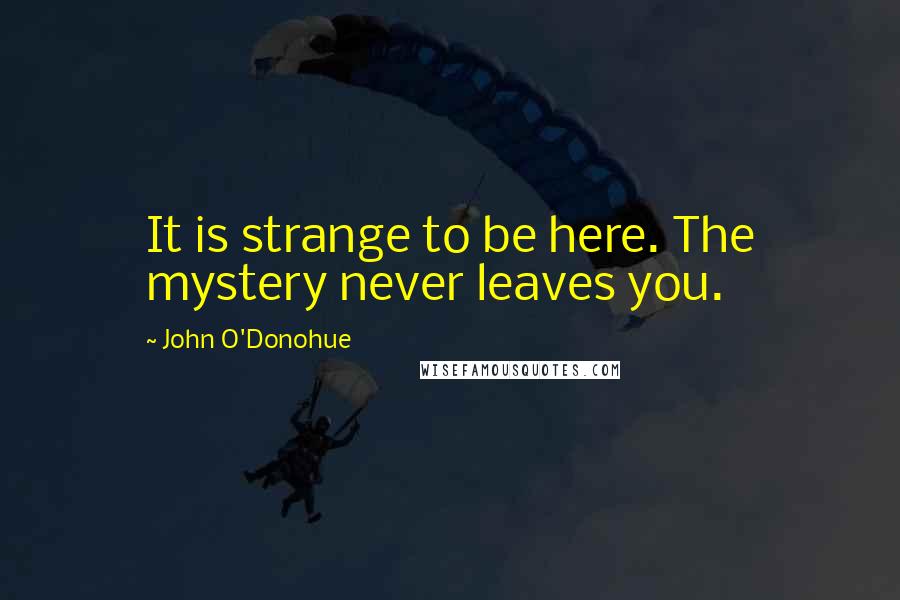 John O'Donohue Quotes: It is strange to be here. The mystery never leaves you.