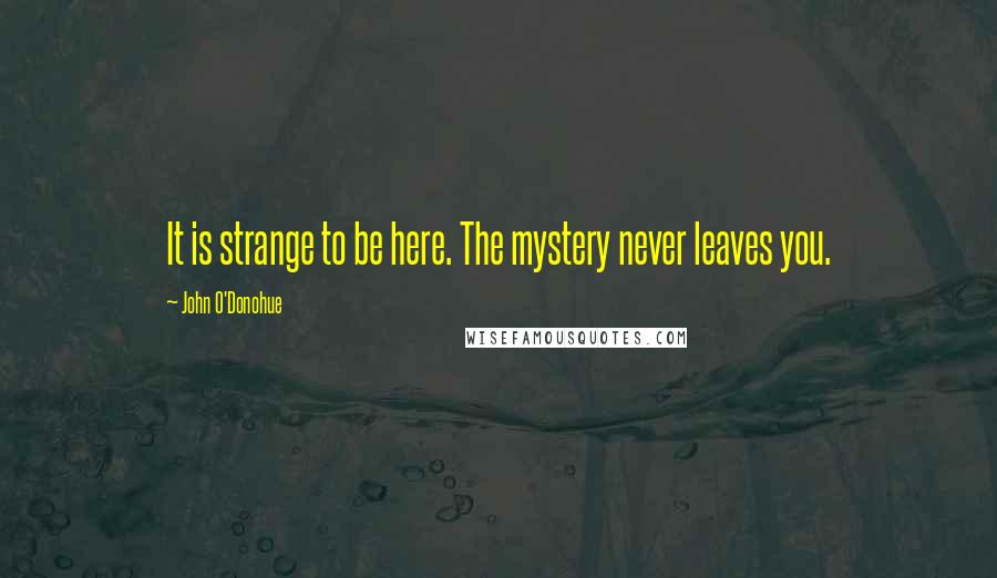 John O'Donohue Quotes: It is strange to be here. The mystery never leaves you.