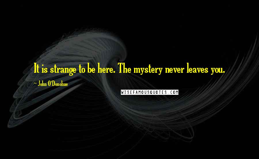 John O'Donohue Quotes: It is strange to be here. The mystery never leaves you.