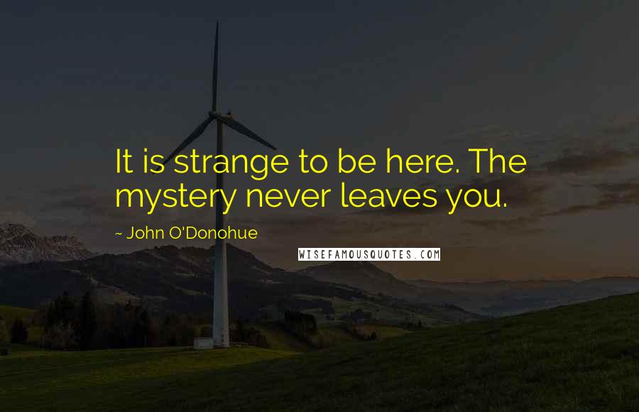 John O'Donohue Quotes: It is strange to be here. The mystery never leaves you.