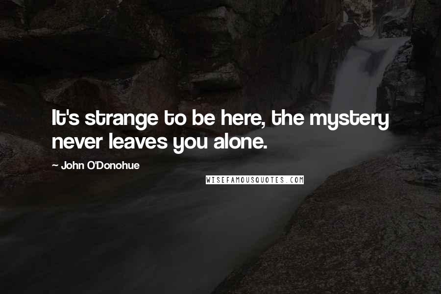 John O'Donohue Quotes: It's strange to be here, the mystery never leaves you alone.