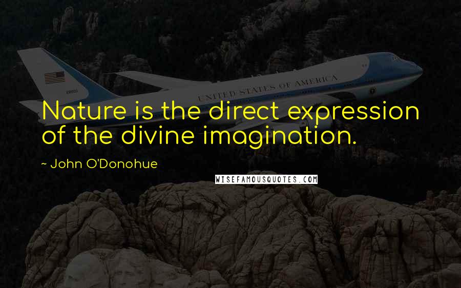 John O'Donohue Quotes: Nature is the direct expression of the divine imagination.