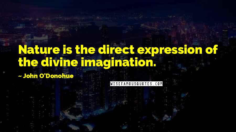 John O'Donohue Quotes: Nature is the direct expression of the divine imagination.