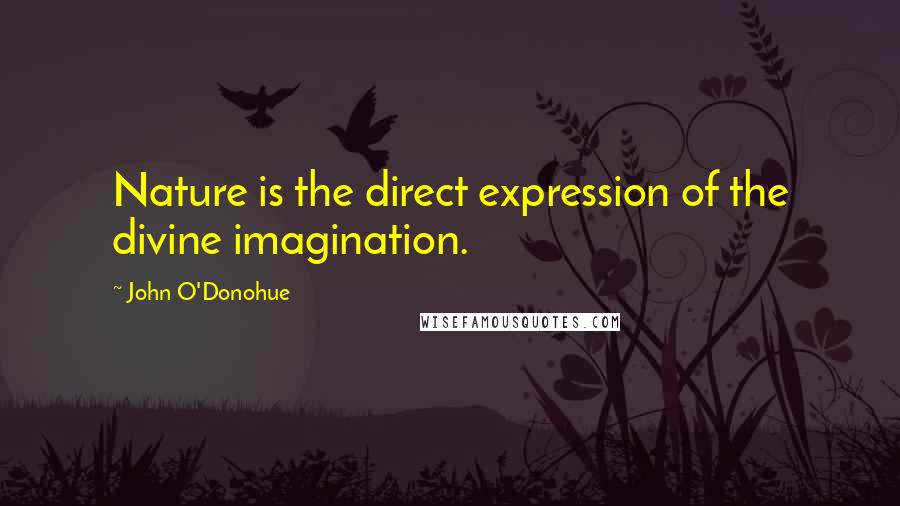 John O'Donohue Quotes: Nature is the direct expression of the divine imagination.