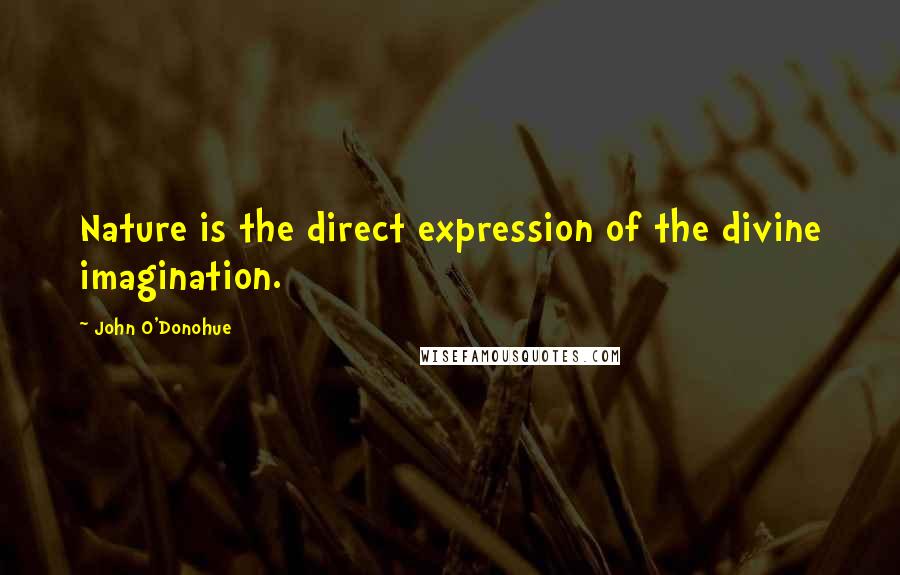 John O'Donohue Quotes: Nature is the direct expression of the divine imagination.