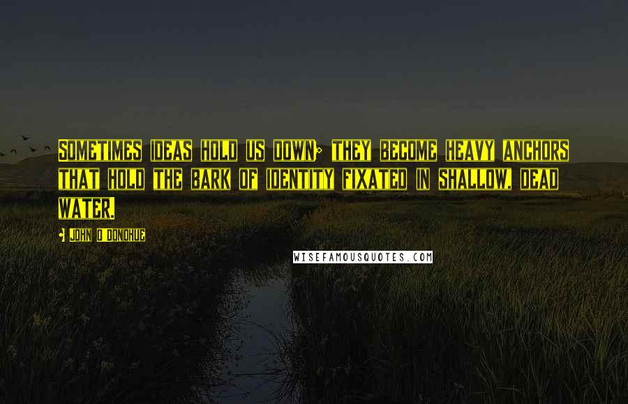 John O'Donohue Quotes: Sometimes ideas hold us down; they become heavy anchors that hold the bark of identity fixated in shallow, dead water.