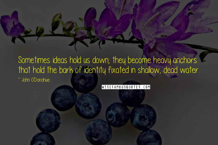 John O'Donohue Quotes: Sometimes ideas hold us down; they become heavy anchors that hold the bark of identity fixated in shallow, dead water.