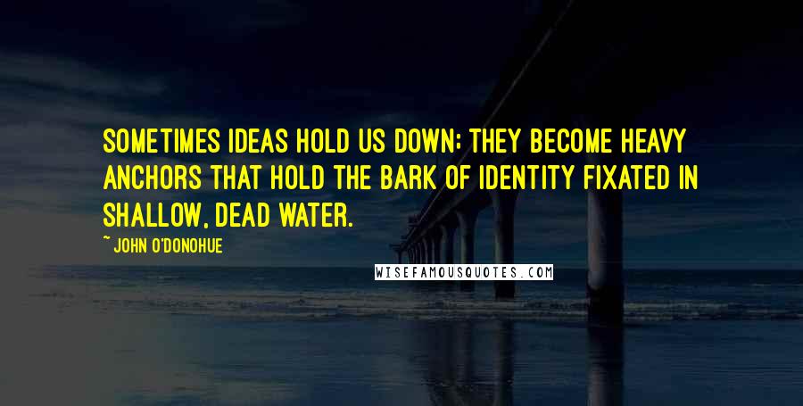 John O'Donohue Quotes: Sometimes ideas hold us down; they become heavy anchors that hold the bark of identity fixated in shallow, dead water.