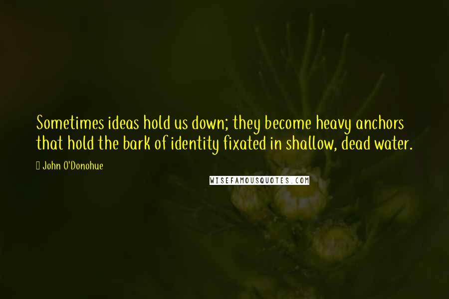 John O'Donohue Quotes: Sometimes ideas hold us down; they become heavy anchors that hold the bark of identity fixated in shallow, dead water.