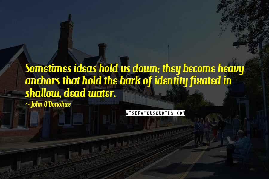 John O'Donohue Quotes: Sometimes ideas hold us down; they become heavy anchors that hold the bark of identity fixated in shallow, dead water.