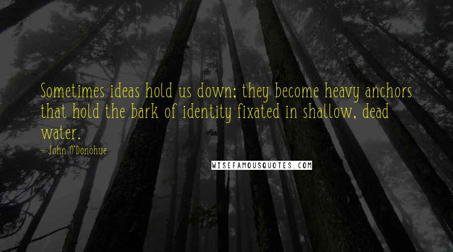 John O'Donohue Quotes: Sometimes ideas hold us down; they become heavy anchors that hold the bark of identity fixated in shallow, dead water.