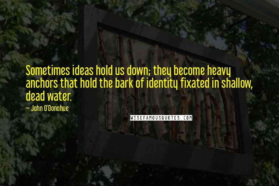 John O'Donohue Quotes: Sometimes ideas hold us down; they become heavy anchors that hold the bark of identity fixated in shallow, dead water.