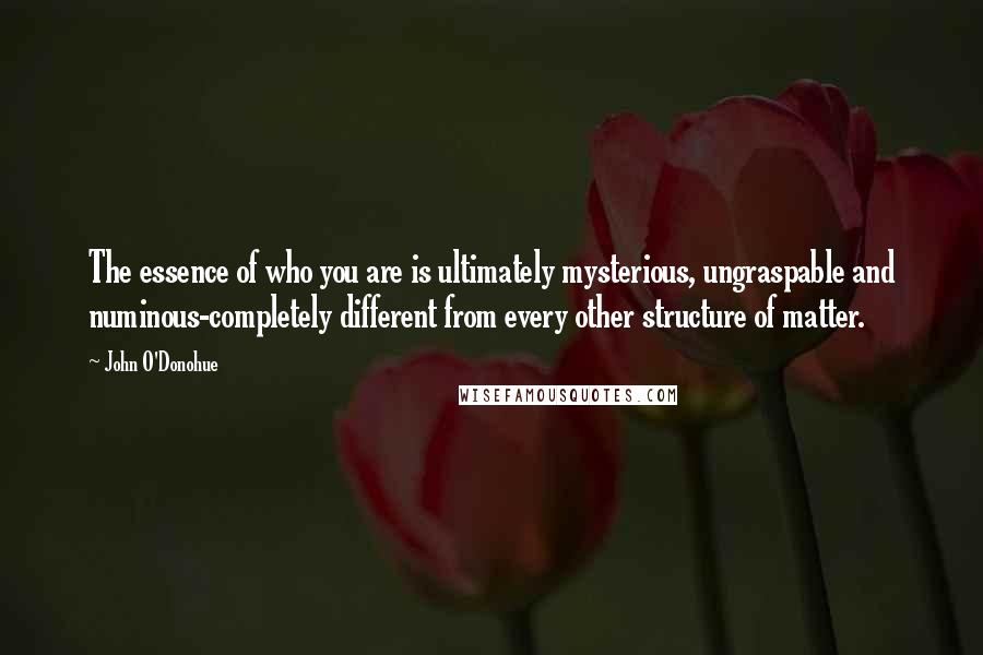 John O'Donohue Quotes: The essence of who you are is ultimately mysterious, ungraspable and numinous-completely different from every other structure of matter.