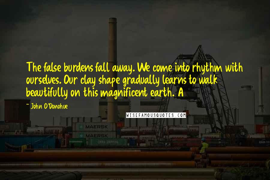 John O'Donohue Quotes: The false burdens fall away. We come into rhythm with ourselves. Our clay shape gradually learns to walk beautifully on this magnificent earth. A