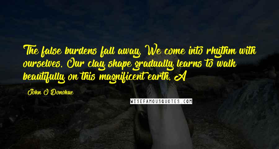 John O'Donohue Quotes: The false burdens fall away. We come into rhythm with ourselves. Our clay shape gradually learns to walk beautifully on this magnificent earth. A