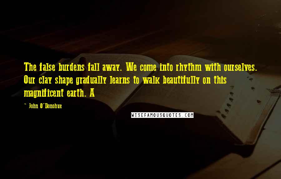 John O'Donohue Quotes: The false burdens fall away. We come into rhythm with ourselves. Our clay shape gradually learns to walk beautifully on this magnificent earth. A