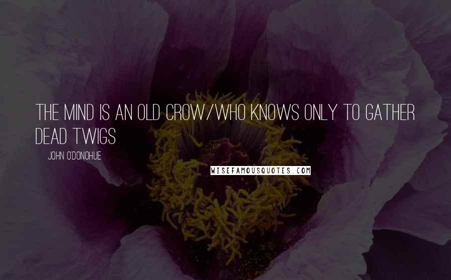 John O'Donohue Quotes: The mind is an old crow/Who knows only to gather dead twigs