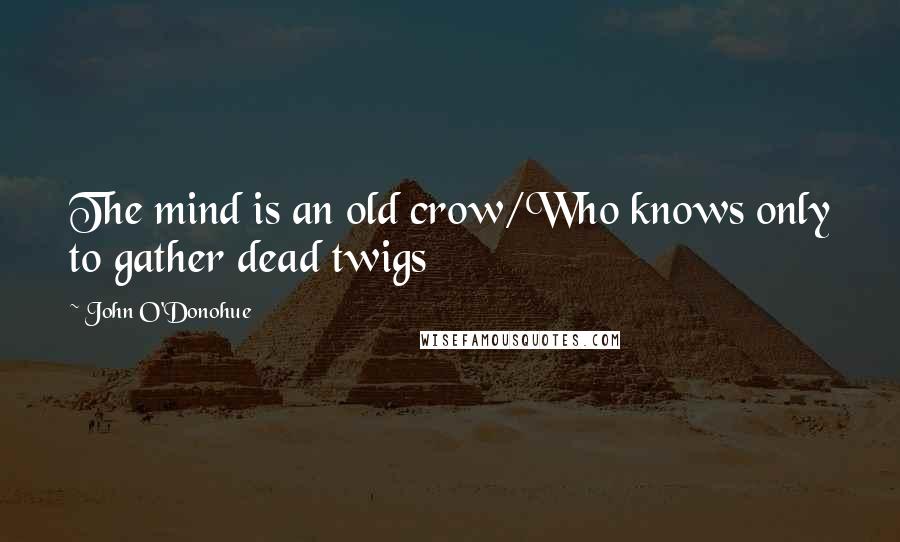 John O'Donohue Quotes: The mind is an old crow/Who knows only to gather dead twigs