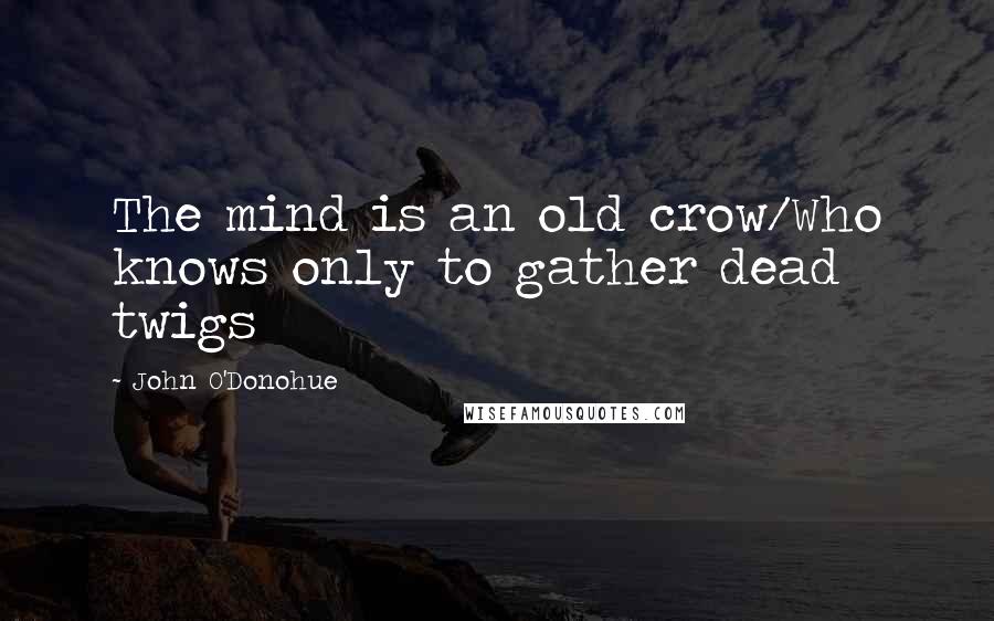 John O'Donohue Quotes: The mind is an old crow/Who knows only to gather dead twigs