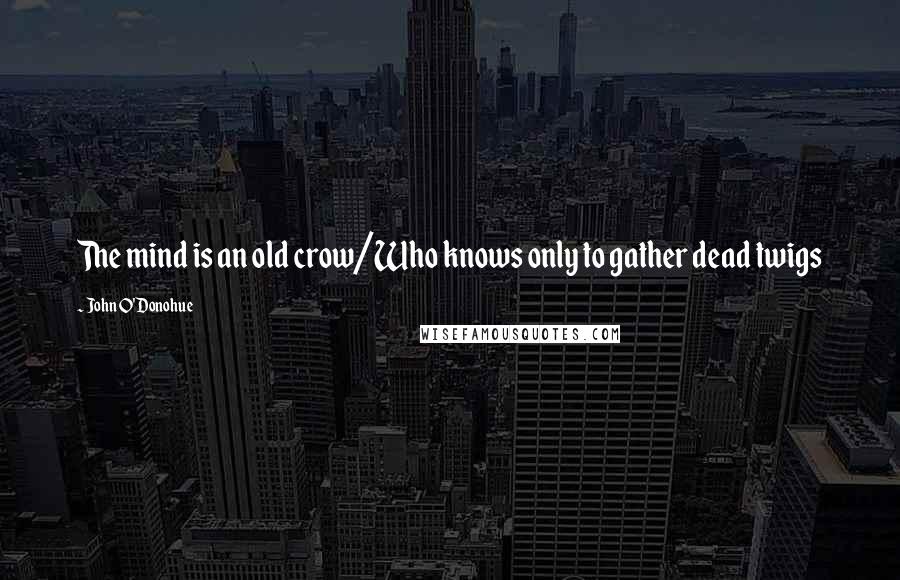 John O'Donohue Quotes: The mind is an old crow/Who knows only to gather dead twigs