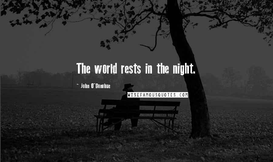 John O'Donohue Quotes: The world rests in the night.