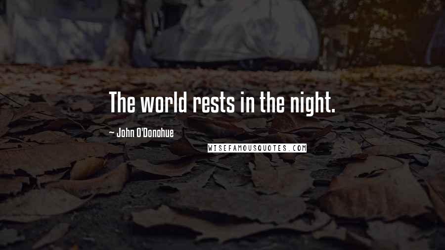 John O'Donohue Quotes: The world rests in the night.