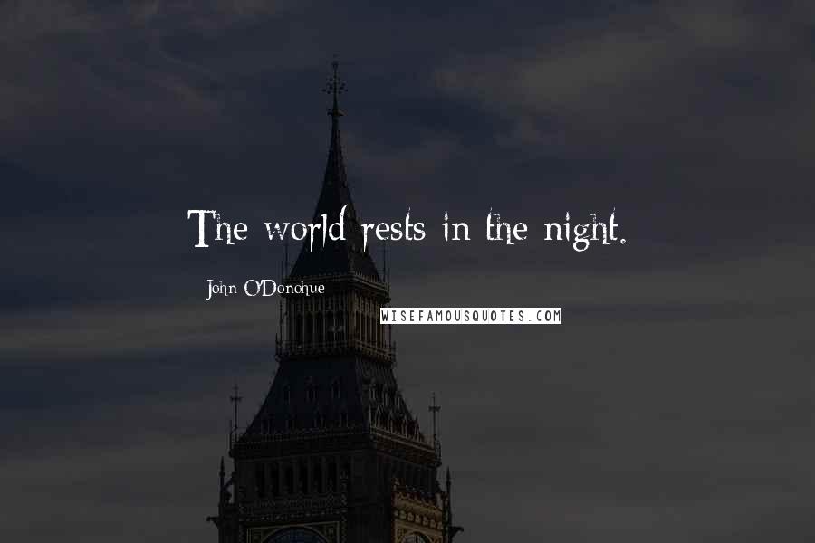 John O'Donohue Quotes: The world rests in the night.