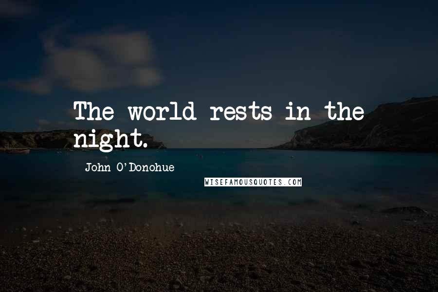 John O'Donohue Quotes: The world rests in the night.