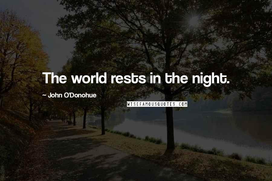 John O'Donohue Quotes: The world rests in the night.