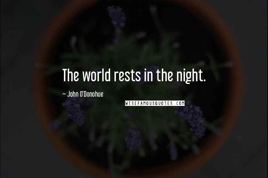 John O'Donohue Quotes: The world rests in the night.