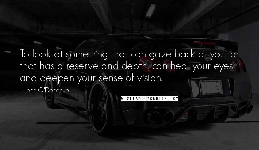 John O'Donohue Quotes: To look at something that can gaze back at you, or that has a reserve and depth, can heal your eyes and deepen your sense of vision.