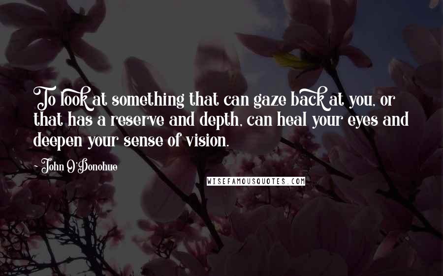 John O'Donohue Quotes: To look at something that can gaze back at you, or that has a reserve and depth, can heal your eyes and deepen your sense of vision.