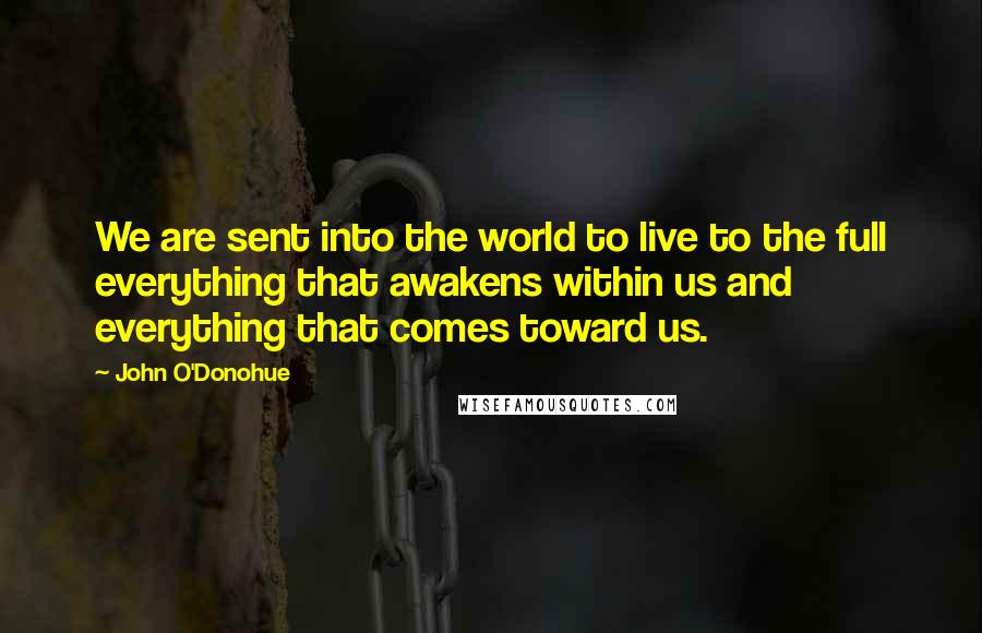 John O'Donohue Quotes: We are sent into the world to live to the full everything that awakens within us and everything that comes toward us.