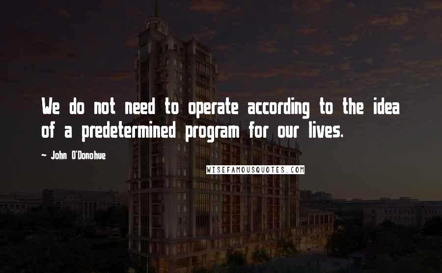 John O'Donohue Quotes: We do not need to operate according to the idea of a predetermined program for our lives.