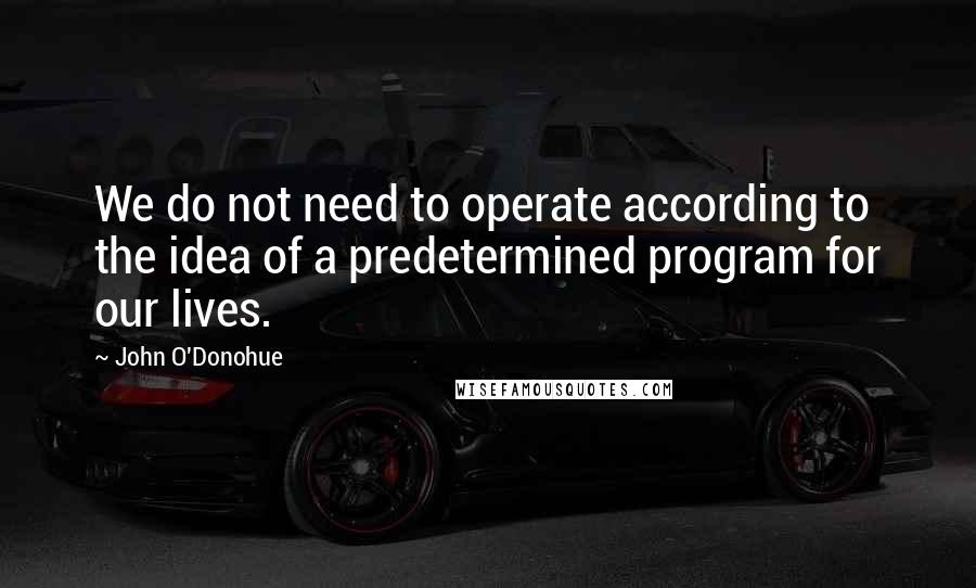 John O'Donohue Quotes: We do not need to operate according to the idea of a predetermined program for our lives.