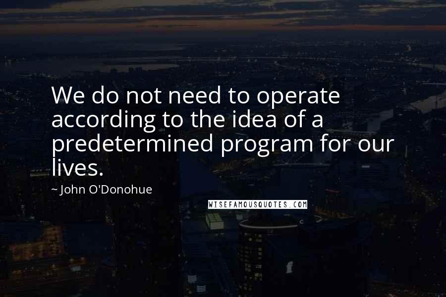 John O'Donohue Quotes: We do not need to operate according to the idea of a predetermined program for our lives.