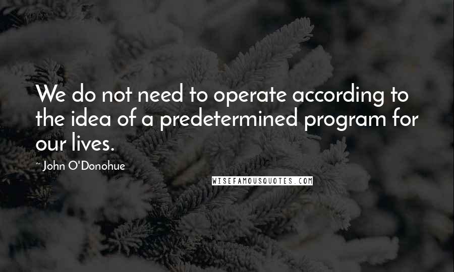 John O'Donohue Quotes: We do not need to operate according to the idea of a predetermined program for our lives.