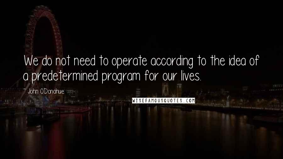 John O'Donohue Quotes: We do not need to operate according to the idea of a predetermined program for our lives.