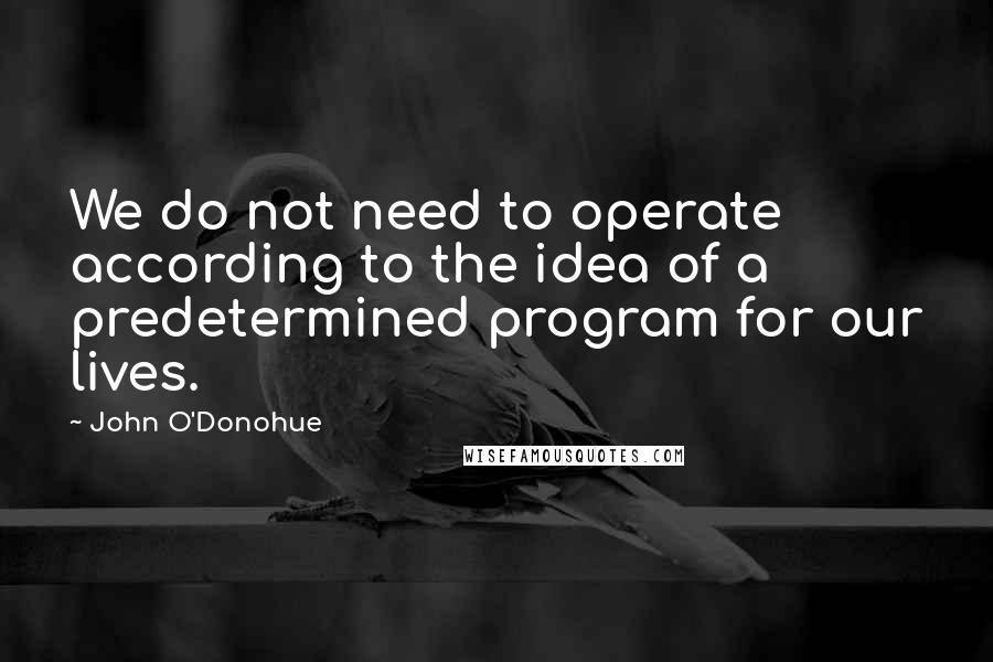 John O'Donohue Quotes: We do not need to operate according to the idea of a predetermined program for our lives.