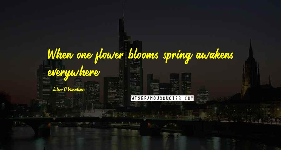 John O'Donohue Quotes: When one flower blooms spring awakens everywhere